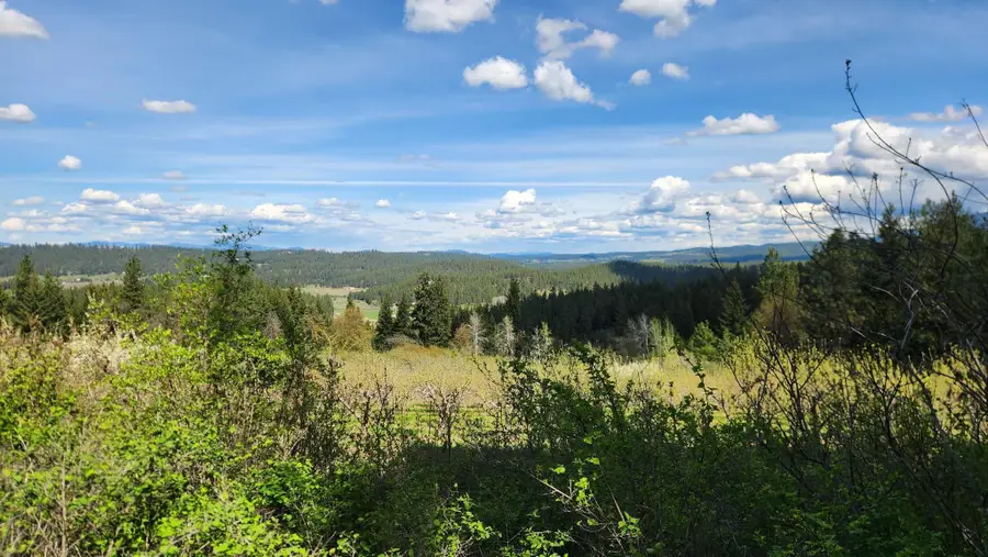 XXXX Woolard Rd, Colbert, WA 99005 - #2