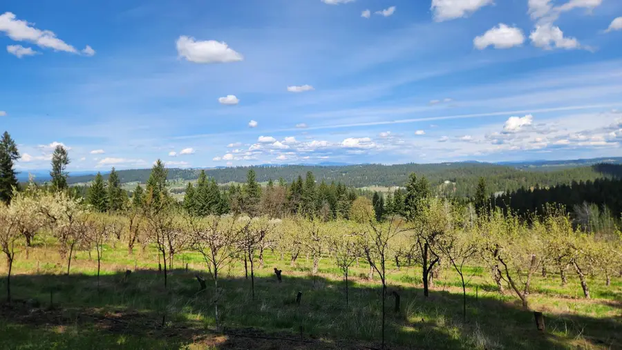 XXXX Woolard Rd, Colbert, WA 99005 - #3