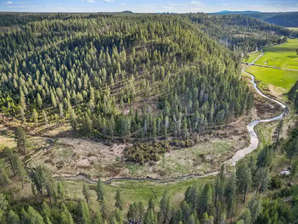 xxx Springdale Hunters Rd, Springdale, WA 99173