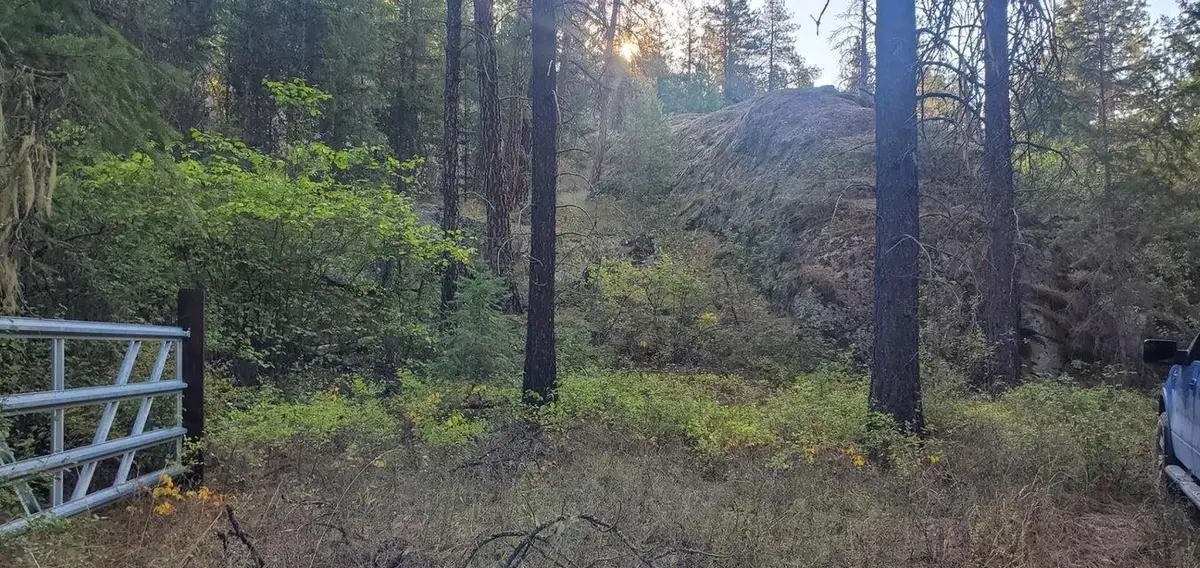 3733-XX Sand Creek Rd, Kettle Falls, WA 99141 - #1