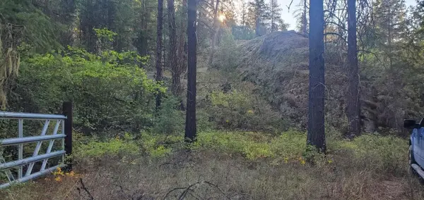3733-XX Sand Creek Rd, Kettle Falls, WA 99141
