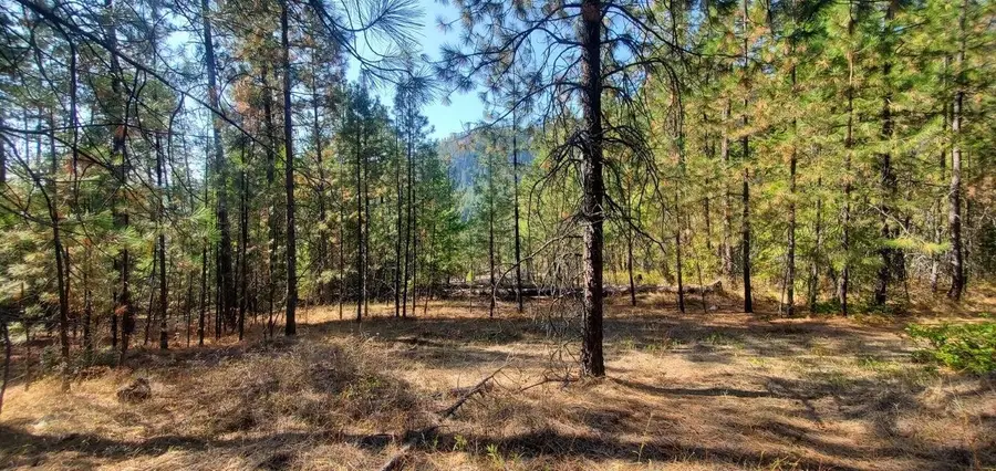 3733-XX Sand Creek Rd, Kettle Falls, WA 99141 - #3