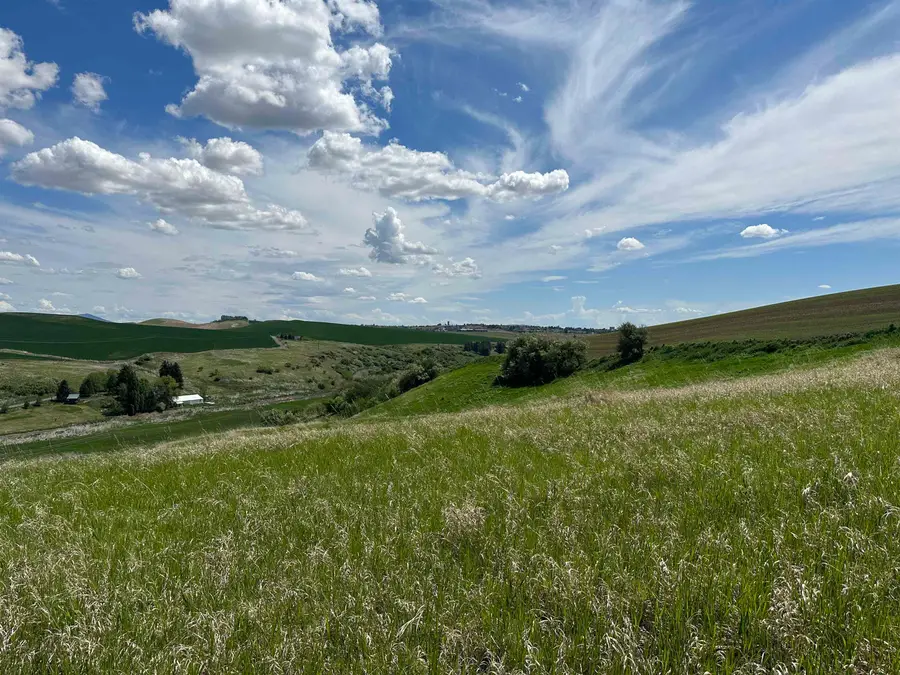 7XX S Armstrong Rd, Pullman, WA 99163 - #2