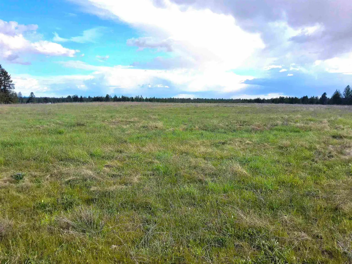 000 W Insert Ln, Deer Park, WA 99006 - #1
