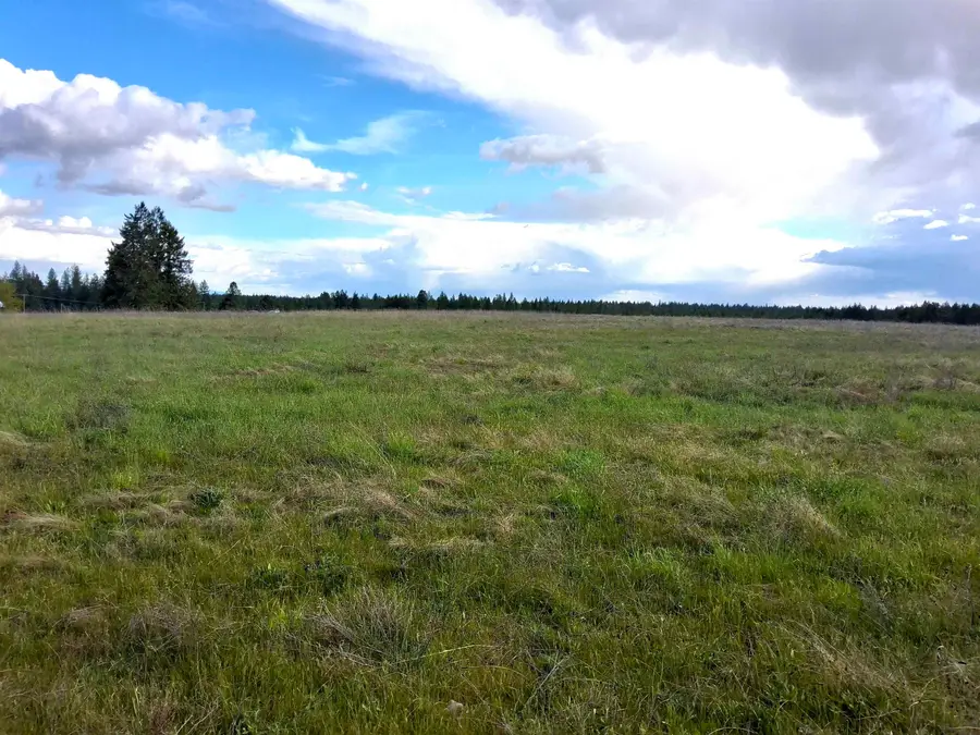 000 W Insert Ln, Deer Park, WA 99006 - #2
