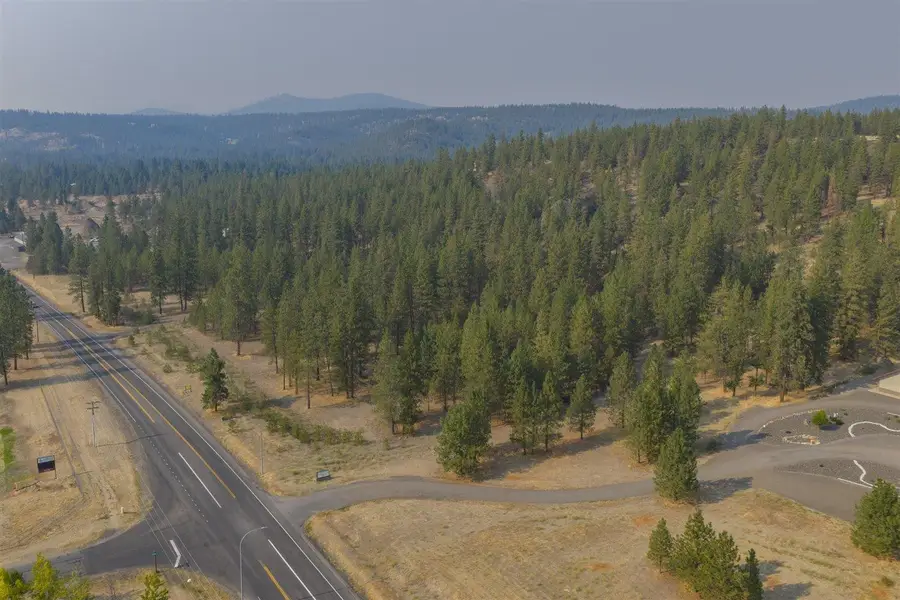XXXX Wa-291, Nine Mile Falls, WA 99026 - #2