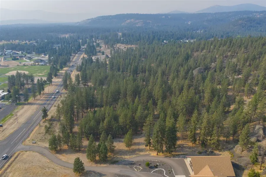 XXXX Wa-291, Nine Mile Falls, WA 99026 - #3