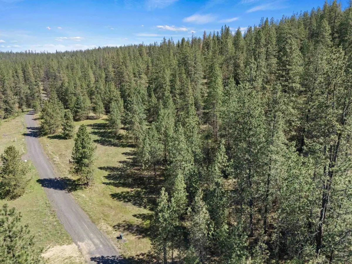 58xx Lot 2 Lower Weaver Way, Nine Mile Falls, WA 99026 - #1