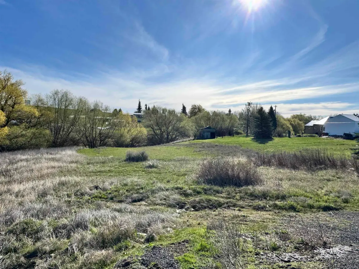 XX W Ross St, Davenport, WA 99122 - #1