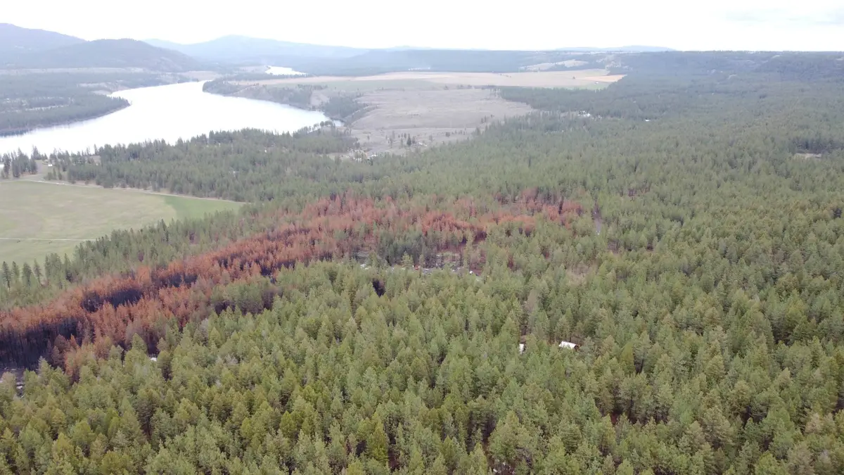 Xxx Coyote Ridge Ln, Ford, WA 99013 - #1