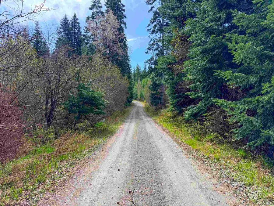4224-C Grouse Creek Rd, Loon Lake, WA 99148 - #2