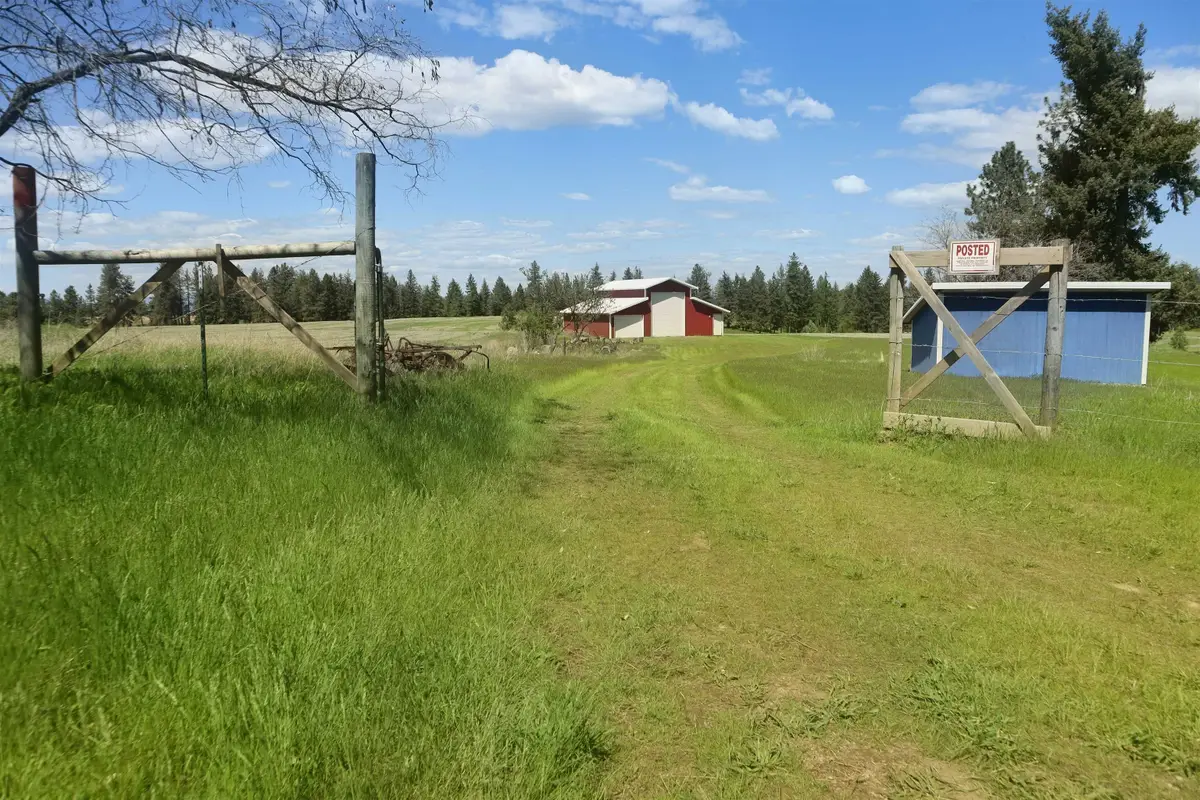 XXX Orchard Bluff Rd, Chattaroy, WA 99003 - #1