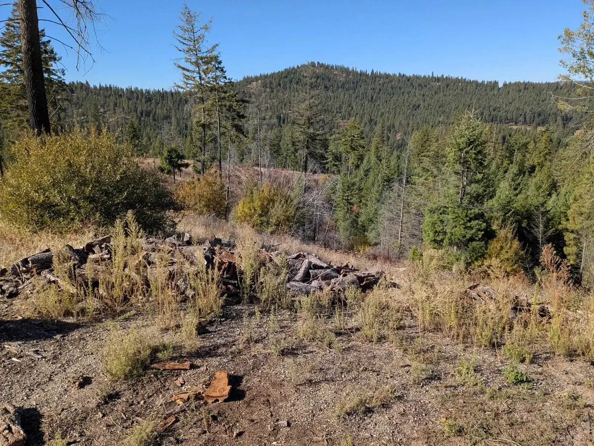 42484 Mt Moriah Way, Loon Lake, WA 99148 - #1