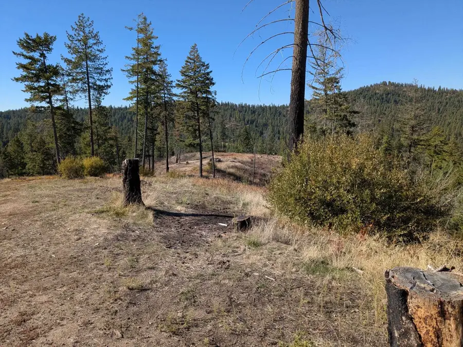42484 Mt Moriah Way, Loon Lake, WA 99148 - #2