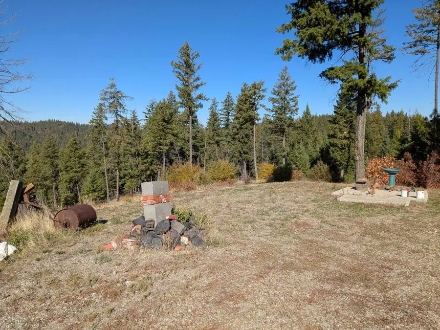 42484 Mt Moriah Way, Loon Lake, WA 99148 - #3