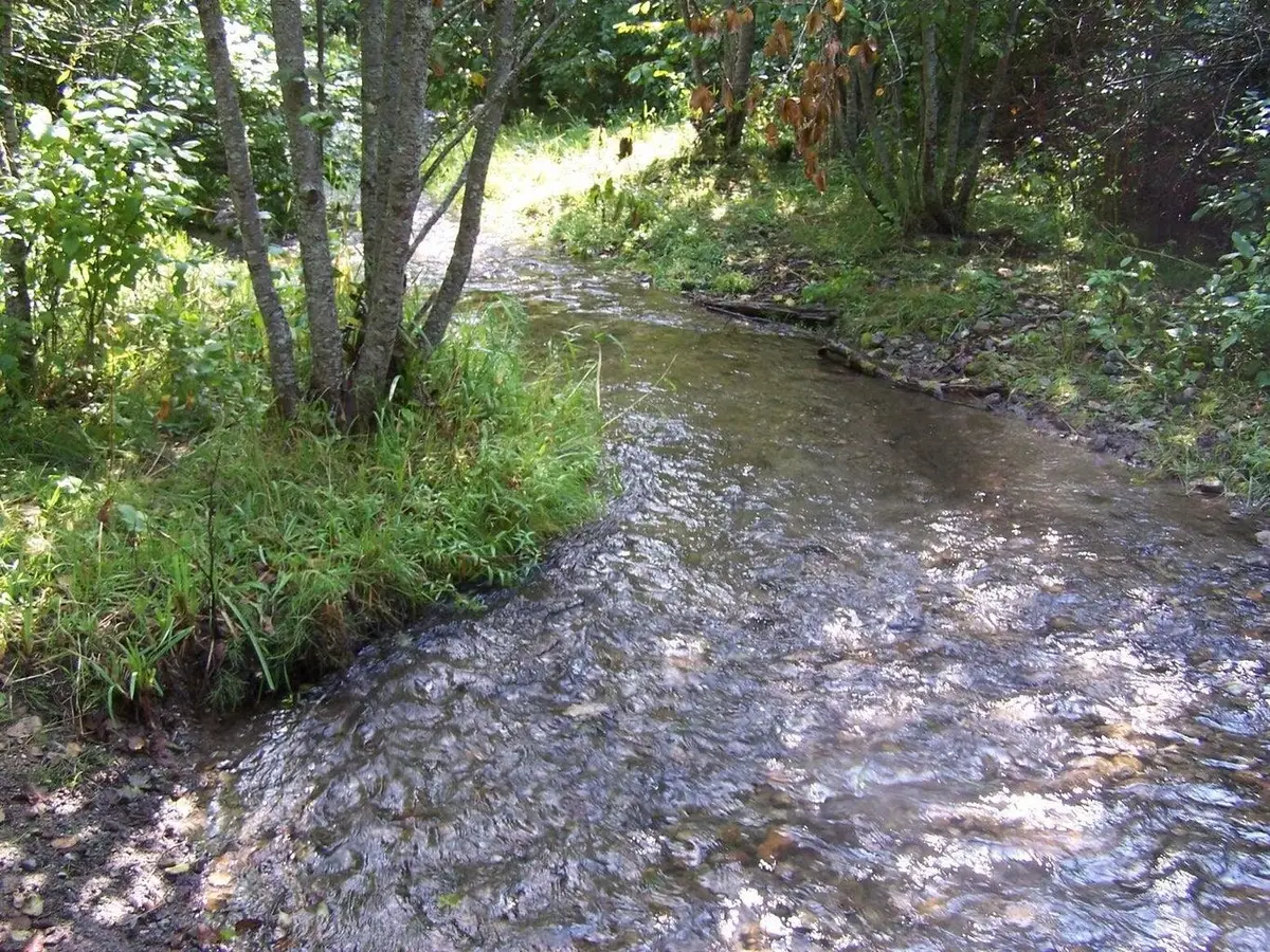 35XX Northport Flat Creek Rd, Colville, WA 99114-0000 - #1