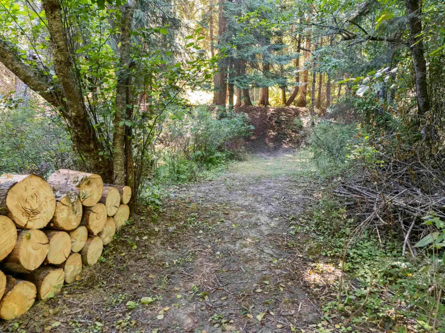 114XX E Antler Rd, Chattaroy, WA 99003 - #3