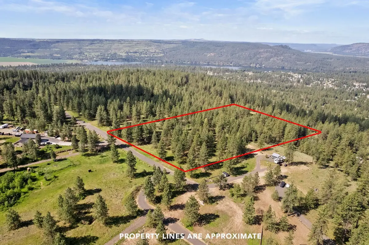6601 Stony Way, Nine Mile Falls, WA 99026 - #1