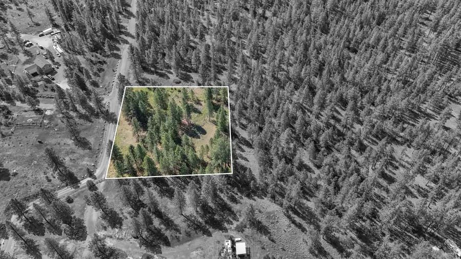 6601 Stony Way, Nine Mile Falls, WA 99026 - #2