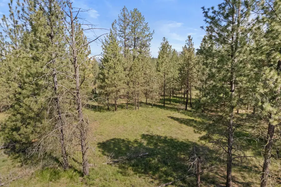 6601 Stony Way, Nine Mile Falls, WA 99026 - #3