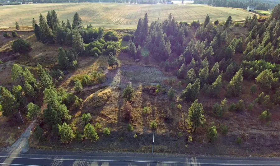 14117 E Gibbs Rd, Mica, WA 99023 - #2