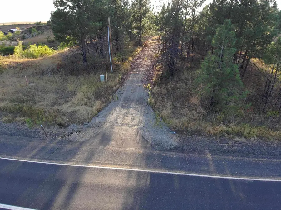14117 E Gibbs Rd, Mica, WA 99023 - #3