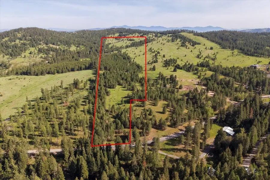 TBD E Belmont Rd, Mica, WA 99023 - #2