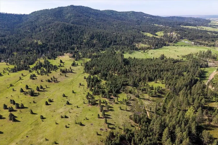 TBD E Belmont Rd, Mica, WA 99023 - #3