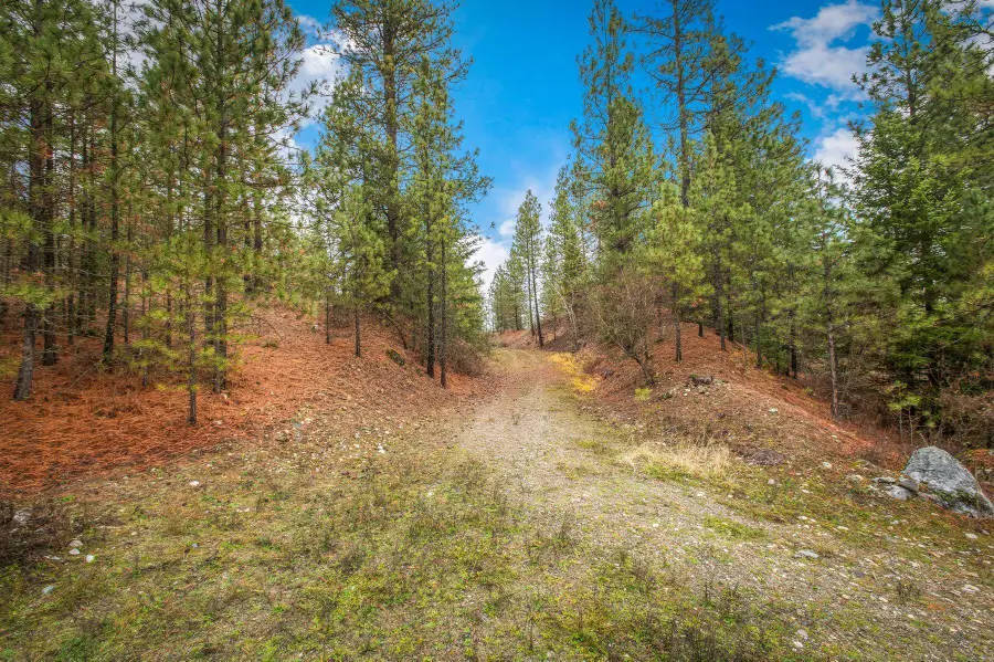 4425 Stonebrook Way, Springdale, WA 99173 - #3