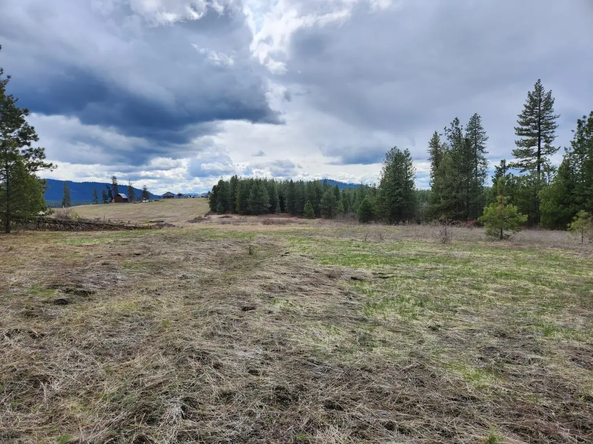 29xx Bakie Rd, Valley, WA 99181 - #1