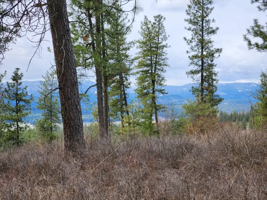 29xx Bakie Rd, Valley, WA 99181 - #2