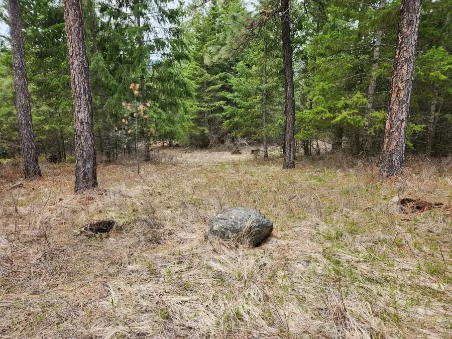 29xx Bakie Rd, Valley, WA 99181 - #3