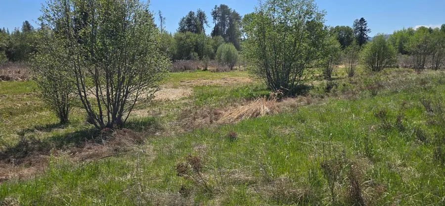 44XX N Swenson Rd, Clayton, WA 99110 - #3