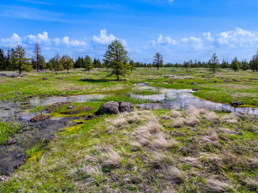 21XXX S Harrison Rd, Edwall, WA 99008 - #3