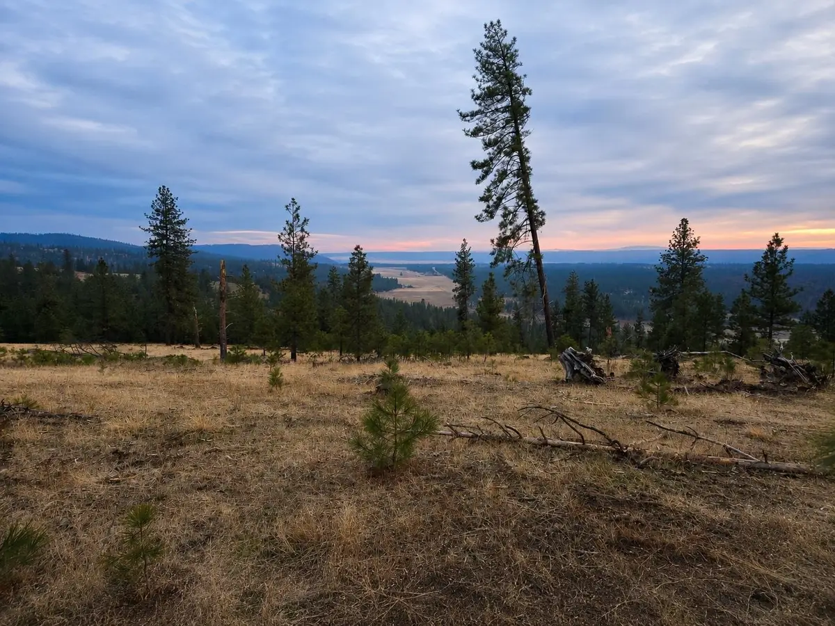 5xxx Hwy 231 Hwy, Ford, WA 99013 - #1