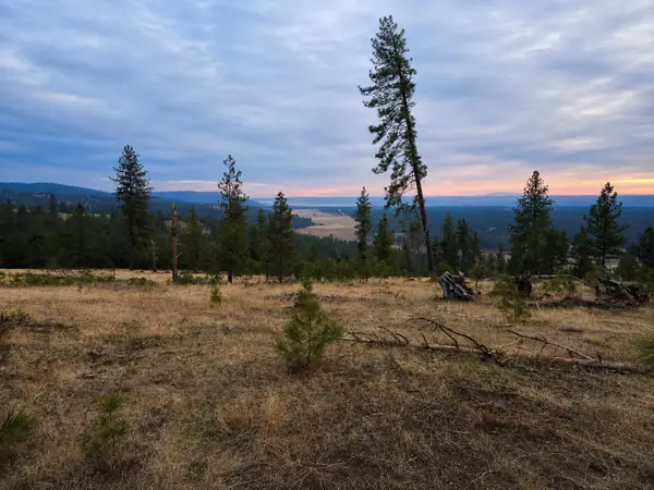 5xxx Hwy 231 Hwy, Ford, WA 99013