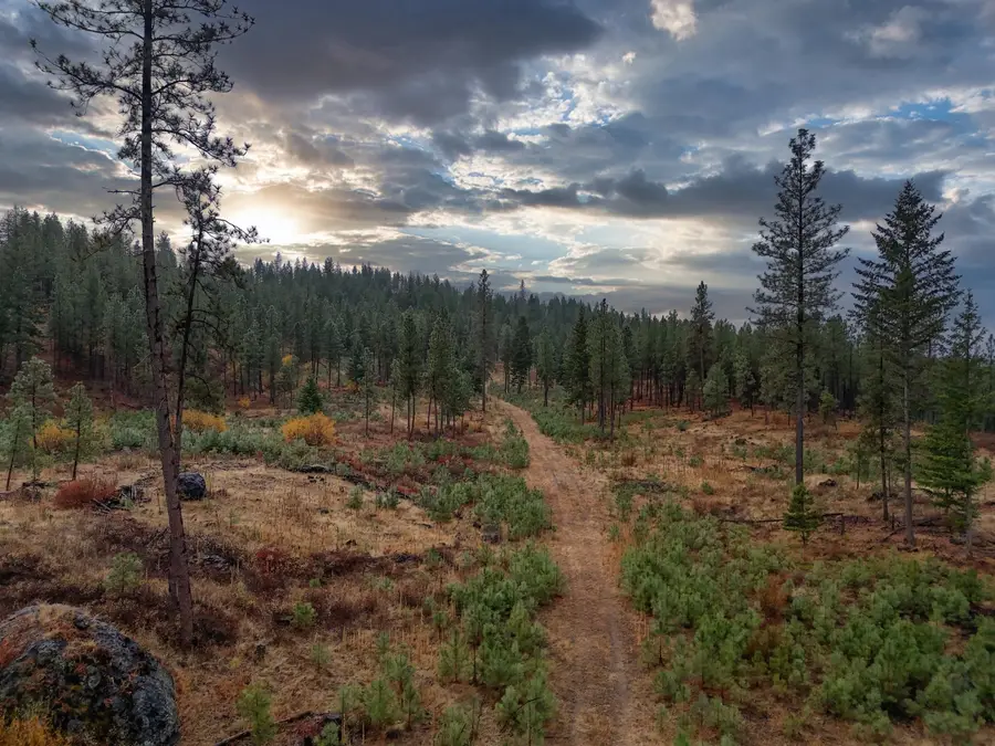 5xxx Hwy 231 Hwy, Ford, WA 99013 - #3