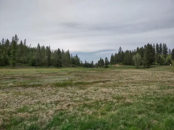 X E Jump Off Rd, Valley, WA 99181