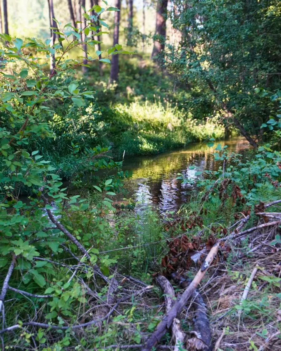 NKA Pines Rd, Newport, WA 99156 - #2