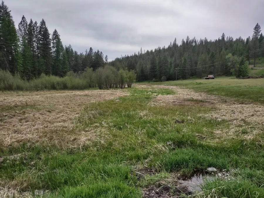 XX E Jump Off Rd, Valley, WA 99181 - #3