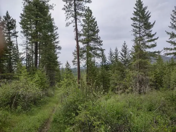 XXX E Jump Off Rd, Valley, WA 99181