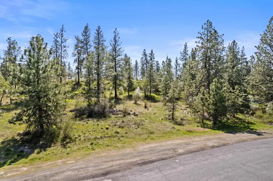 3801 W Grandview Ave, Spokane, WA 99224 - #2