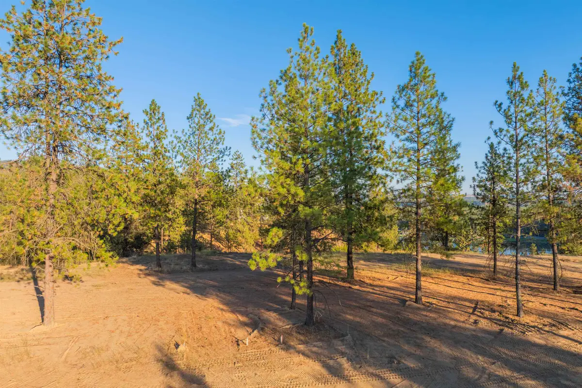 Lot 27 Legacy Way, Nine Mile Falls, WA 99026 - #1