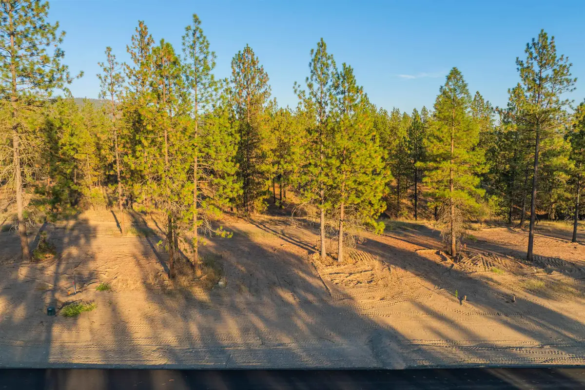 Lot 28 Legacy Way, Nine Mile Falls, WA 99026 - #1