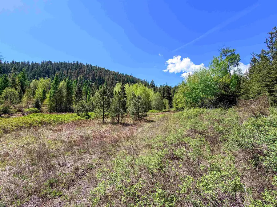 3499-TBD Waitts Lake South Rd, Valley, WA 99181 - #3