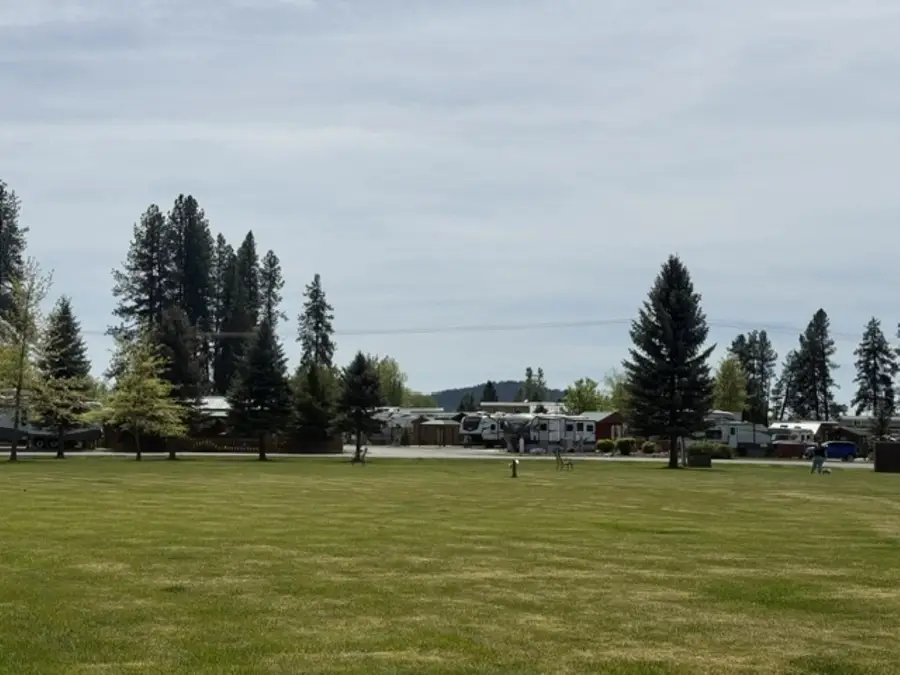 222 Tall Pine S #89 Loop, Usk, WA 99180 - #2