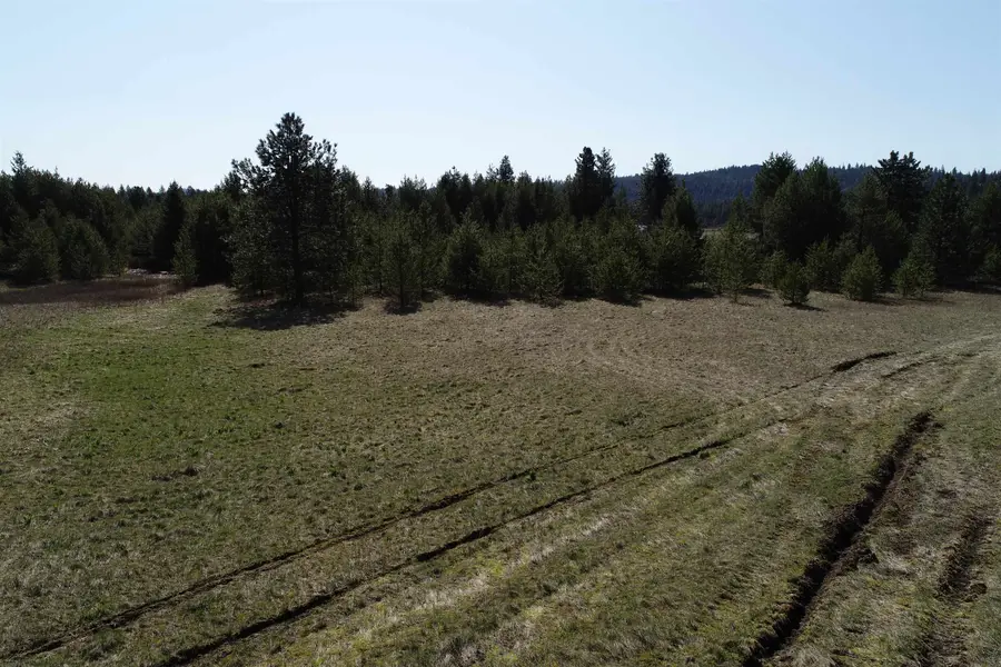 2040 Westside Calispell Track B Rd, Usk, WA 99180 - #2