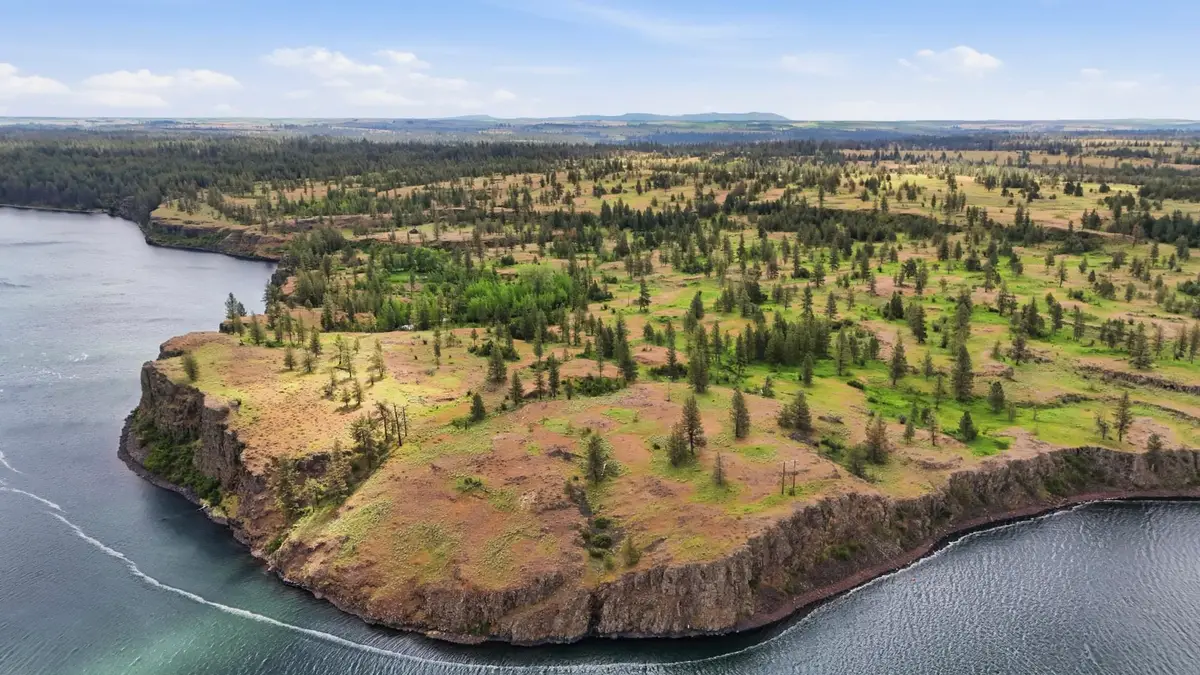 TBD Williams Lake Rd, Cheney, WA 99004 - #1