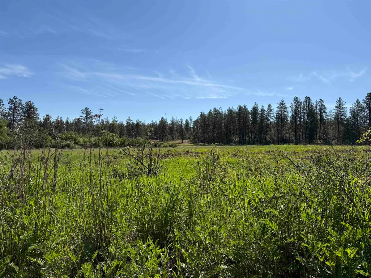 34XX W Thorpe Rd, Spokane, WA 99224 - #1