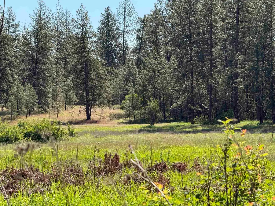 34XX W Thorpe Rd, Spokane, WA 99224 - #3